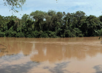Ecocidio en el río Luján