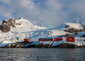¿HACIA DÓNDE VA ARGENTINA?