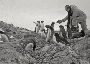 LA CUARTA INVASIÓN INGLESA