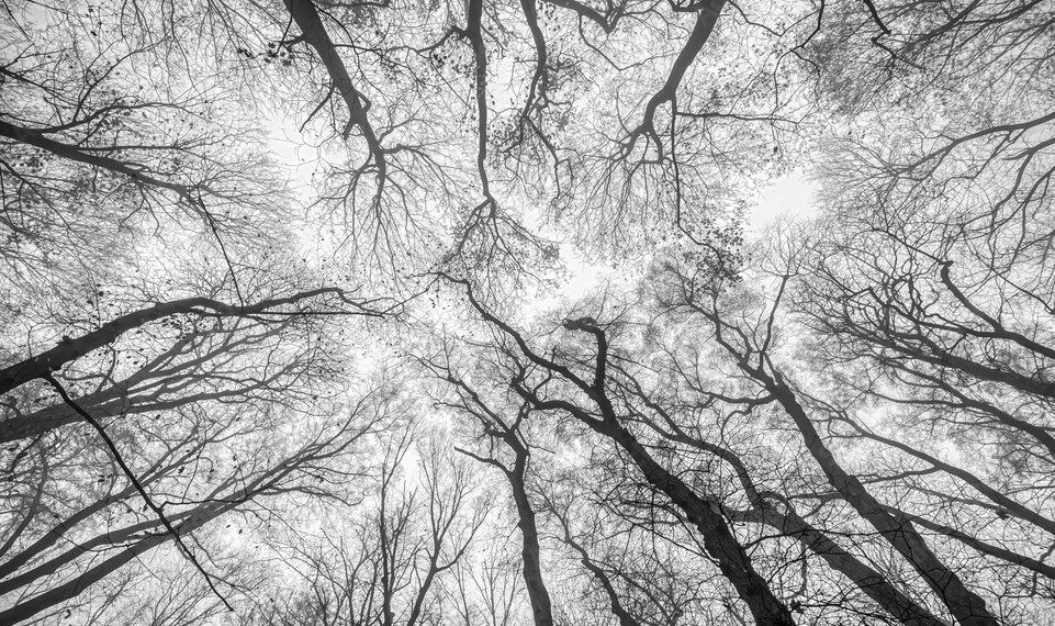 APUNTES QUE INTENTAN COMPRENDER