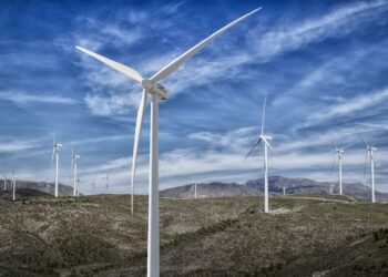 TRANSICIÓN ENERGÉTICA y MODELO DE DESARROLLO