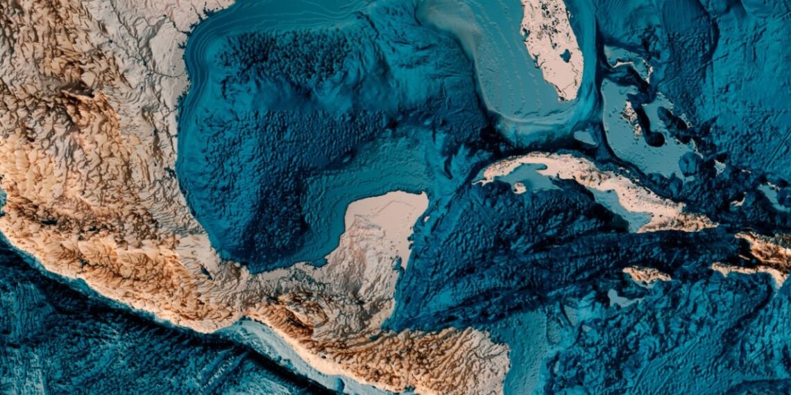 UN JUEGO DE ZORROS Y PUMAS