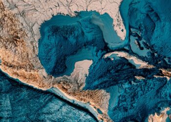 UN JUEGO DE ZORROS Y PUMAS