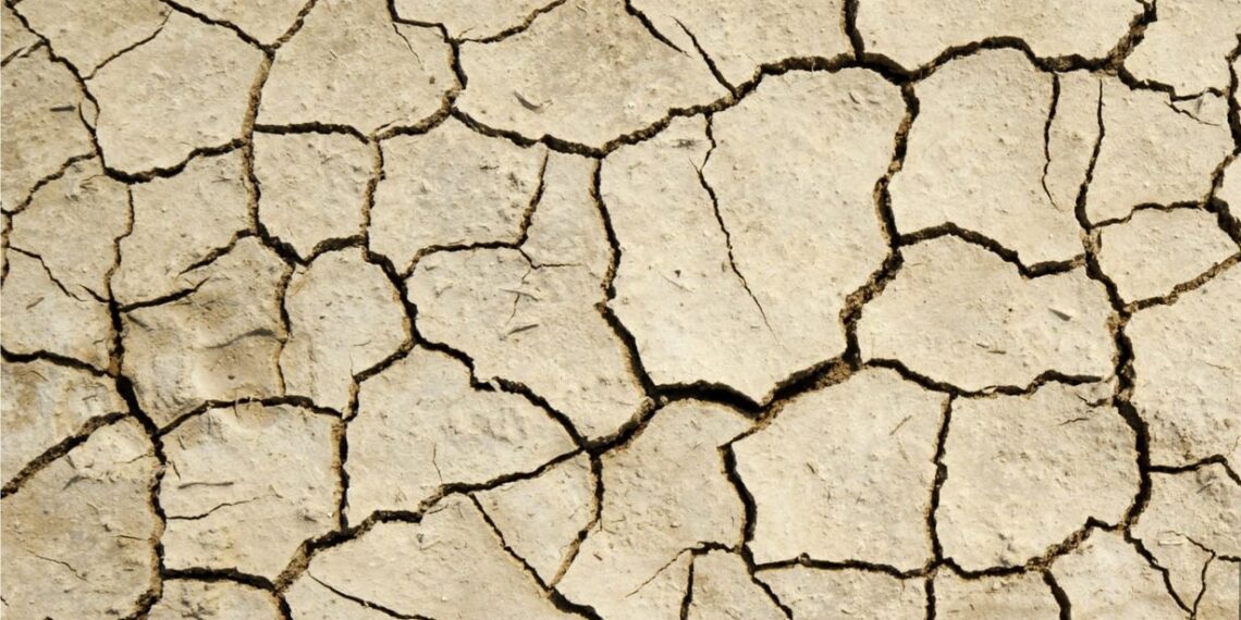 EL GOBIERNO SOLO VELA POR LOS INTERESES DE LA DEUDA: ¿Y LOS DE LOS ARGENTINOS?