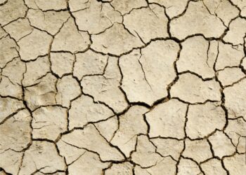 EL GOBIERNO SOLO VELA POR LOS INTERESES DE LA DEUDA: ¿Y LOS DE LOS ARGENTINOS?