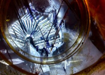 EL ÚLTIMO BANDONEONISTA