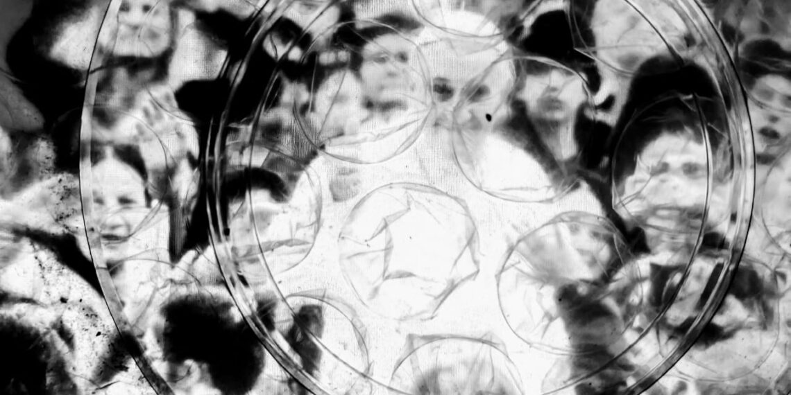 EL LEGADO DE FRANCISCO