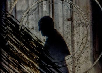 EL LEGADO DE FRANCISCO