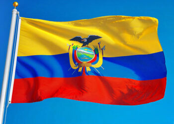 ECUADOR: ECHAR LEÑA AL FUEGO