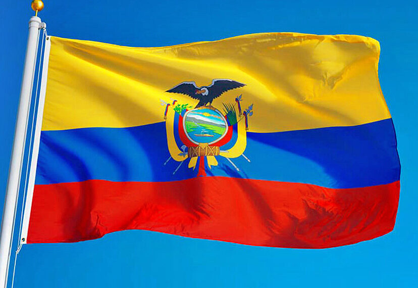 ECUADOR: ECHAR LEÑA AL FUEGO